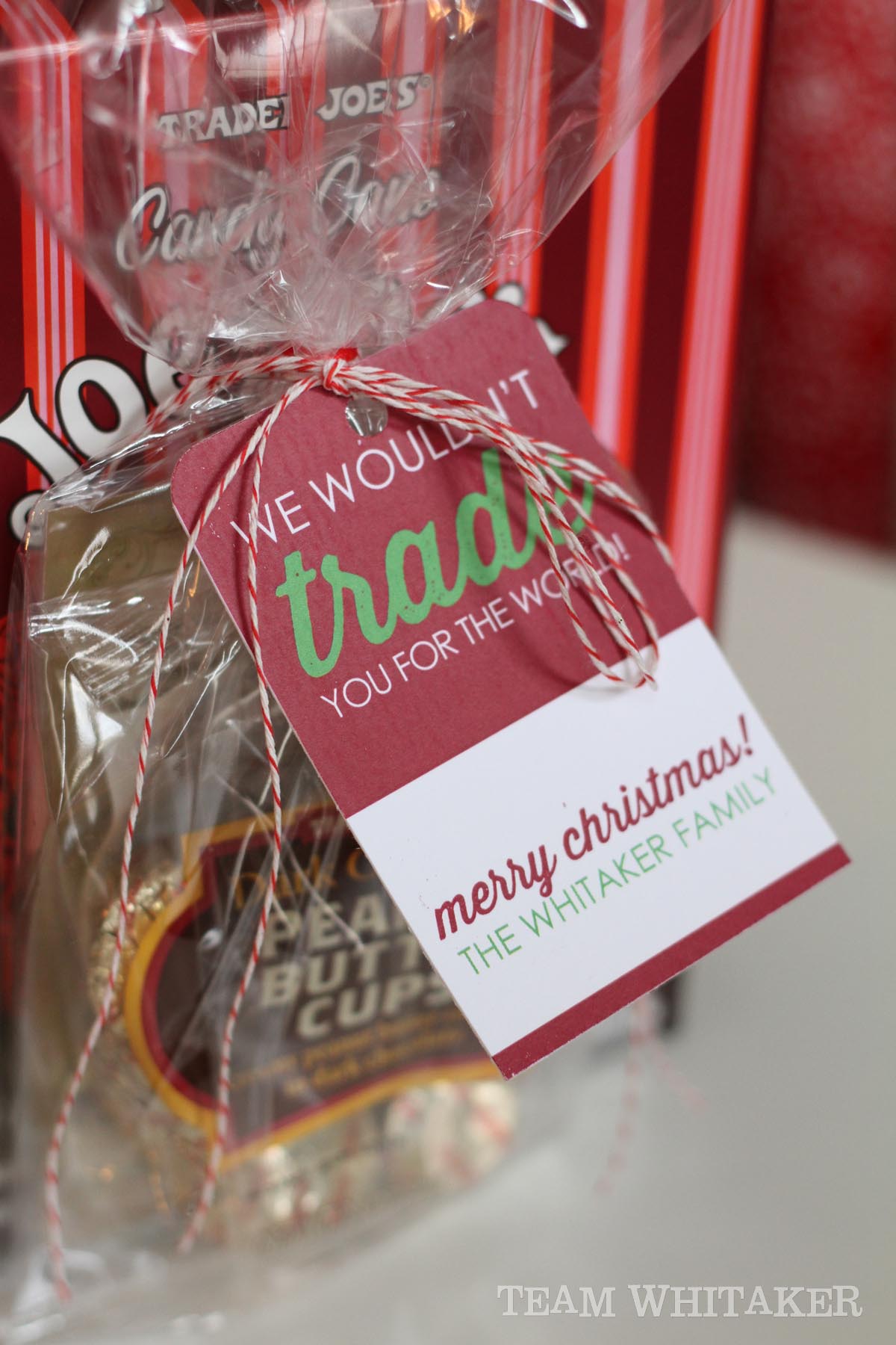 Looking for a quick (and affordable) Christmas gift for your teacher, friend or neighbor this year? This DIY idea, using inspiration from Trader Joe's, includes a free printable, too!